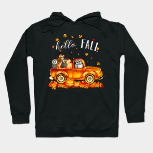 Owls Hello Fall - Owls In Car Pumpkin Halloween T-shirt Owls Autunm Gift Hoodie